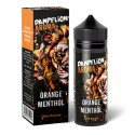 Dampflion Intense Orange Menthol Aroma
