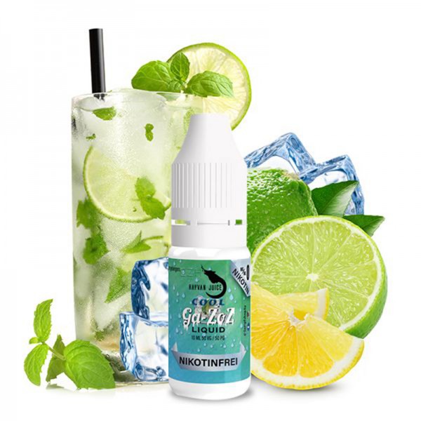 Hayvan Juice Gazoz Cool Liquid Nikotinfrei 10ml